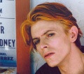 Bowie1.jpg